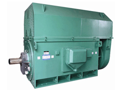 YJTFKK5601-6YKK系列高压电机