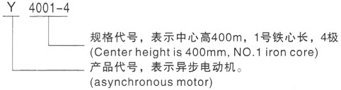 西安泰富西玛Y系列(H355-1000)高压YJTFKK5601-6三相异步电机型号说明